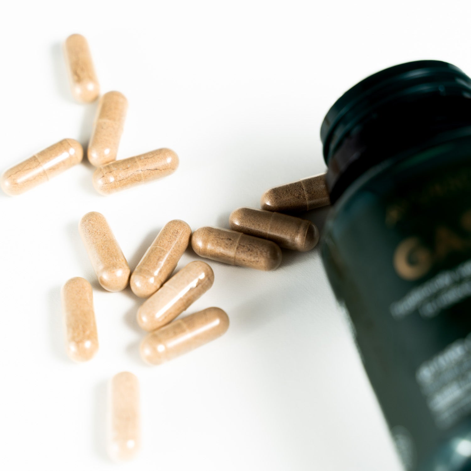 AyurScience Gasnix - Low FODMAP